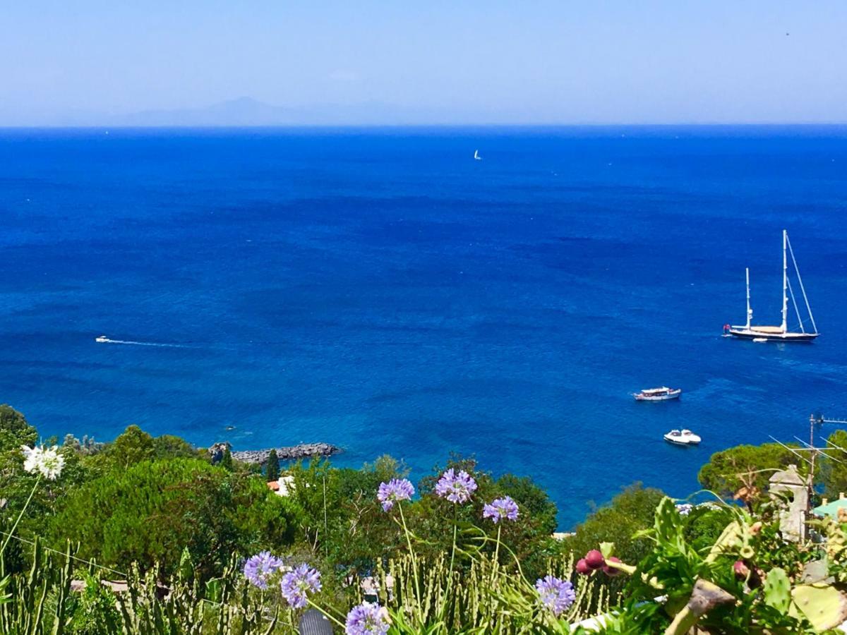Agapanto Luxury Accommodation Casamicciola Terme Buitenkant foto