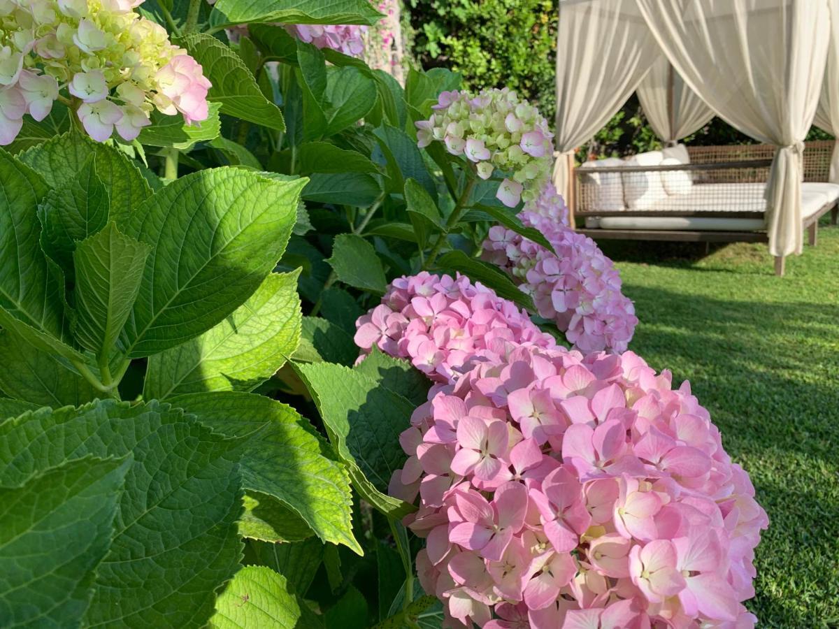Agapanto Luxury Accommodation Casamicciola Terme Buitenkant foto